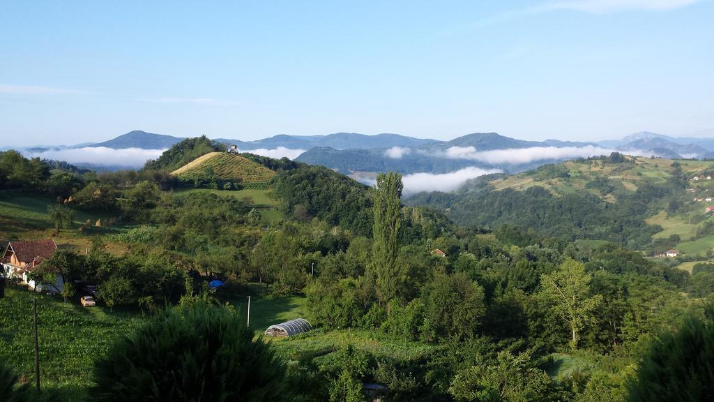 Lux Smestaj Ivanjicki Konaci Ivanjica Ruang foto