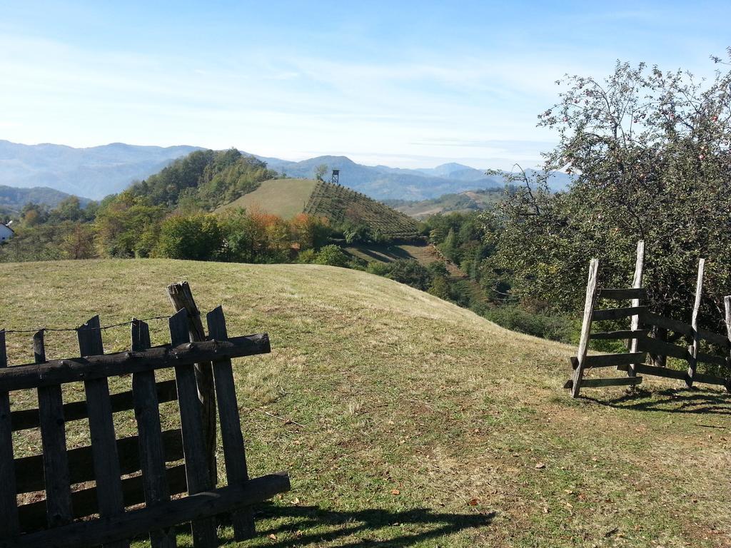 Lux Smestaj Ivanjicki Konaci Ivanjica Ruang foto